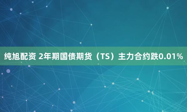纯旭配资 2年期国债期货（TS）主力合约跌0.01%