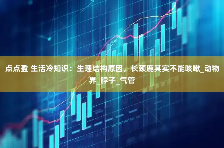 点点盈 生活冷知识：生理结构原因，长颈鹿其实不能咳嗽_动物界_脖子_气管