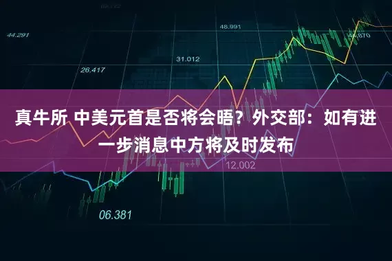 真牛所 中美元首是否将会晤？外交部：如有进一步消息中方将及时发布